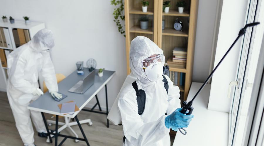 Why Are Pest Control Services Essential for Homeowners?
