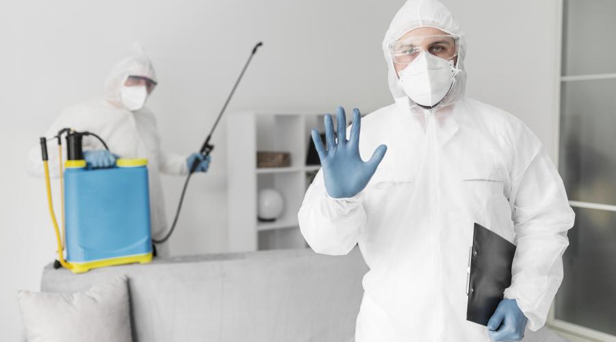 Why Dwarka Homes Trust Our Expert Pest Control Services