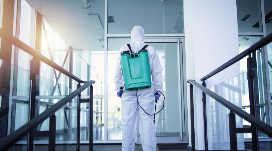 Why Pest Control Services are Essential for Your Noida Office