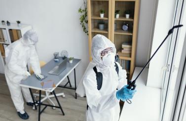 Why Are Pest Control Services Essential for Homeowners?