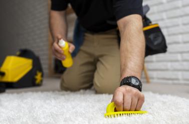 Carpet Cleaning Myths Busted: What You Need to Know