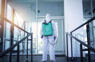 Why Pest Control Services are Essential for Your Noida Office