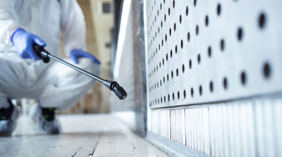 Pest Control Services